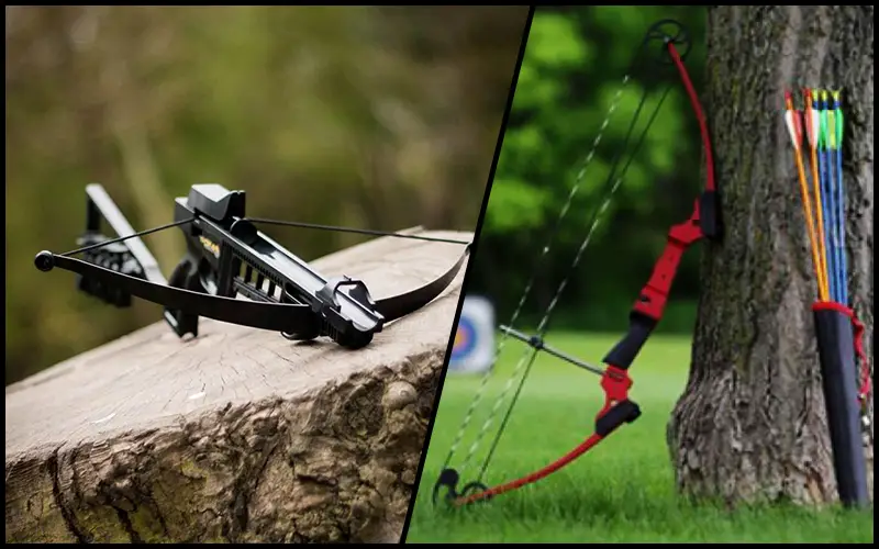 Comparison between the Crossbows and Compound Bows