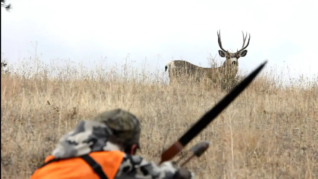 How to hunt a deer with a bow?