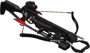 Recurve crossbow