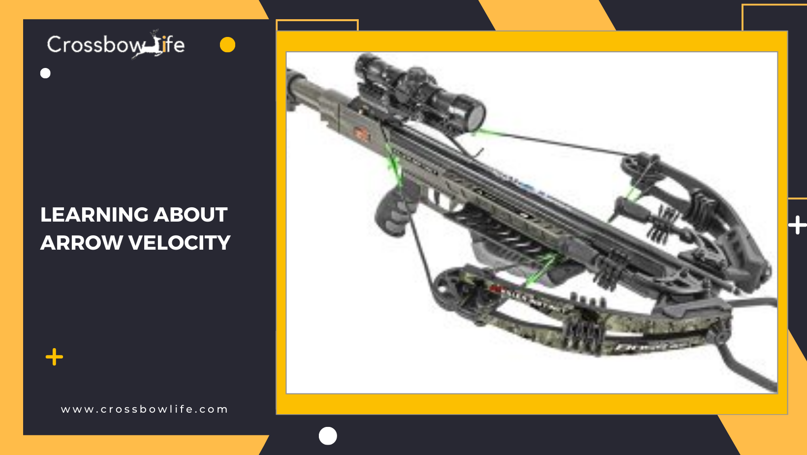 Crossbow Comparison: What to Look for When Choosing a Crossbow