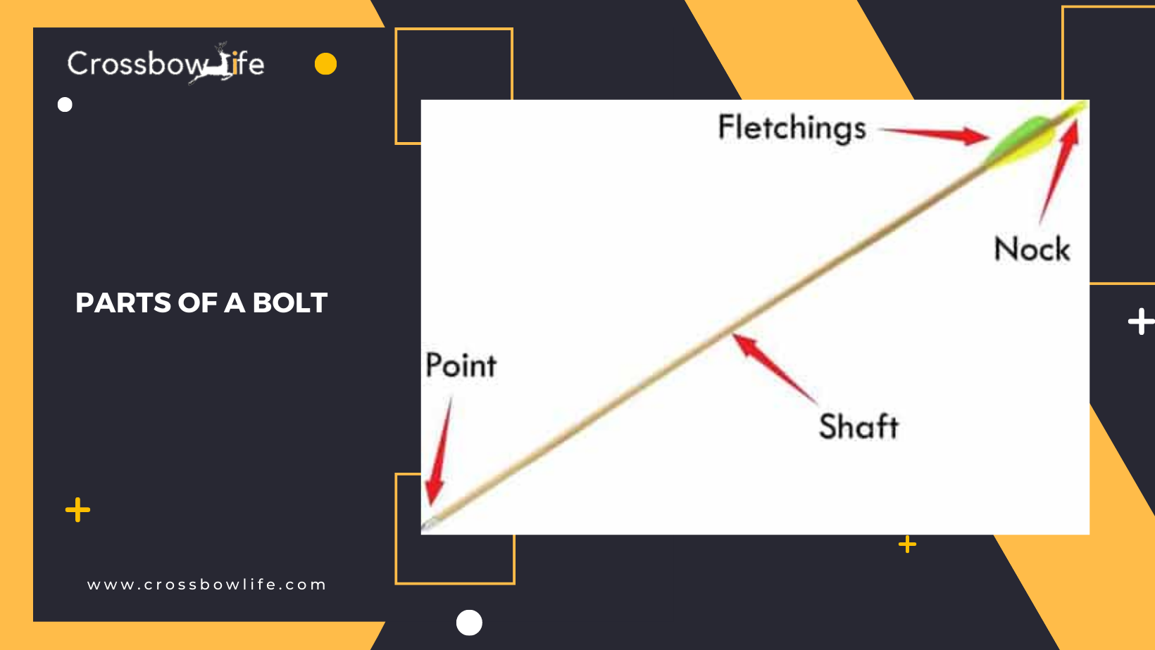 What Happens If The Diameter of a Crossbow Arrow Is Too Large for the Grooved Track in The Barrel?