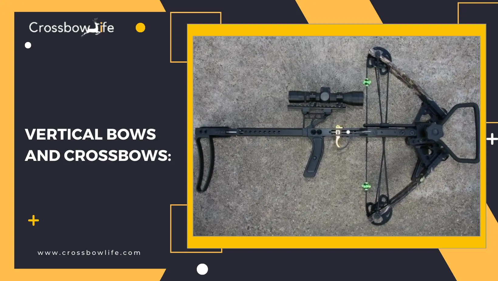 Comparison Between the Crossbows and Compound Bows