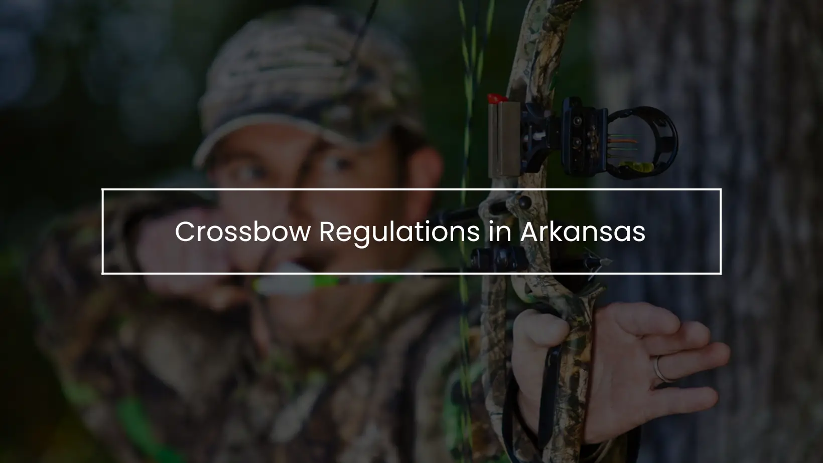 Crossbow Regulations By State
