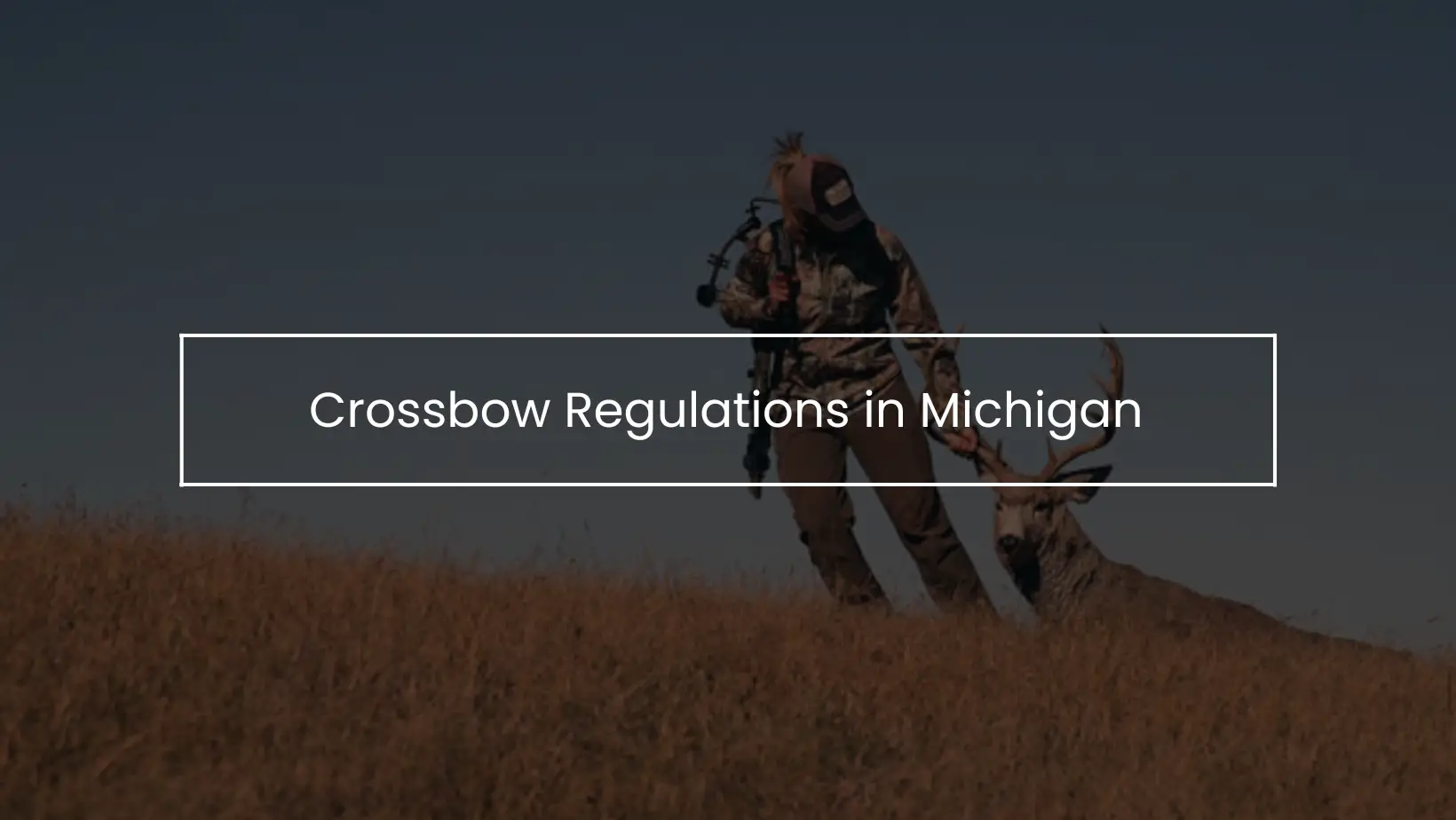 Crossbow Regulations By State
