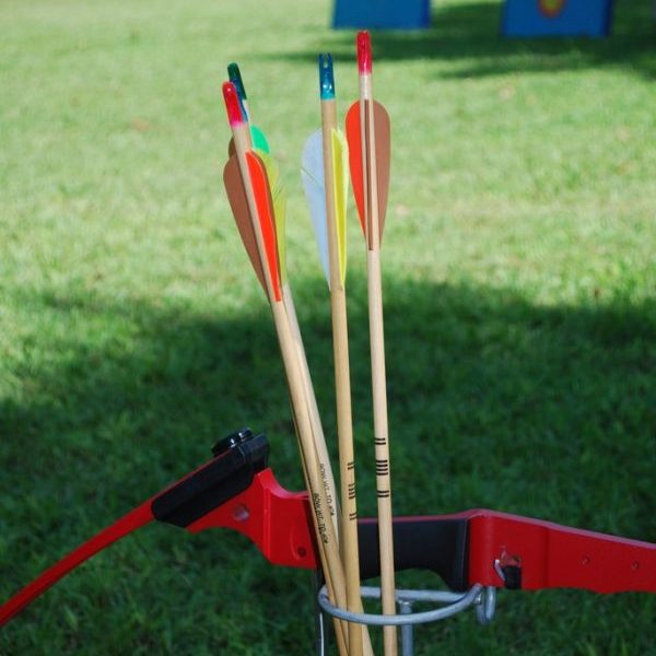 Crossbow Bolts