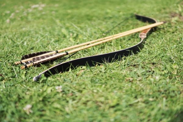 Crossbow Bolts