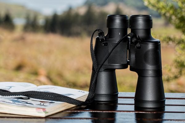 Binoculars resting on a bench in nature